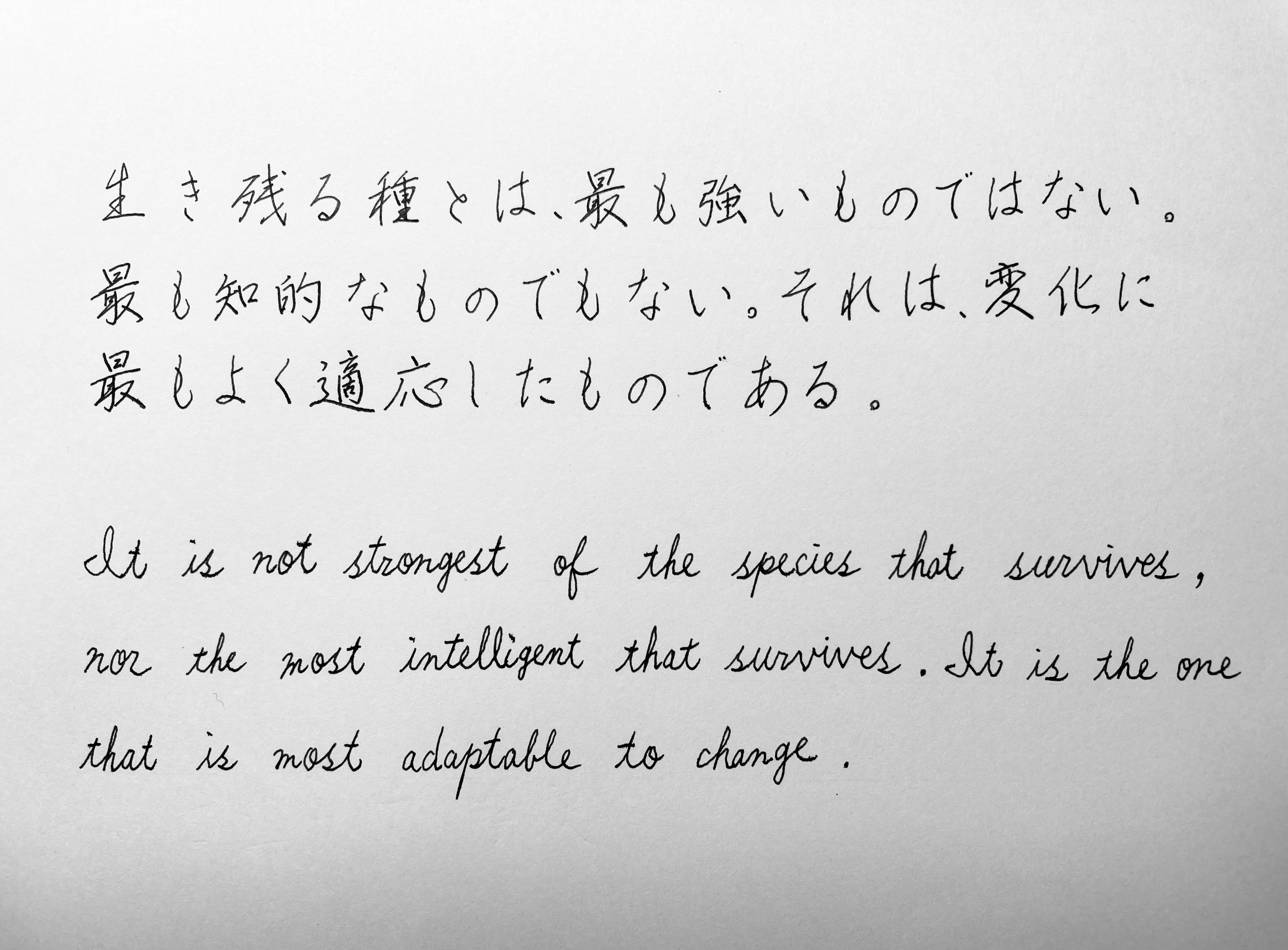 生き残る種とは変化に適応したもの|CHANGEがCHANCEに変わる瞬間