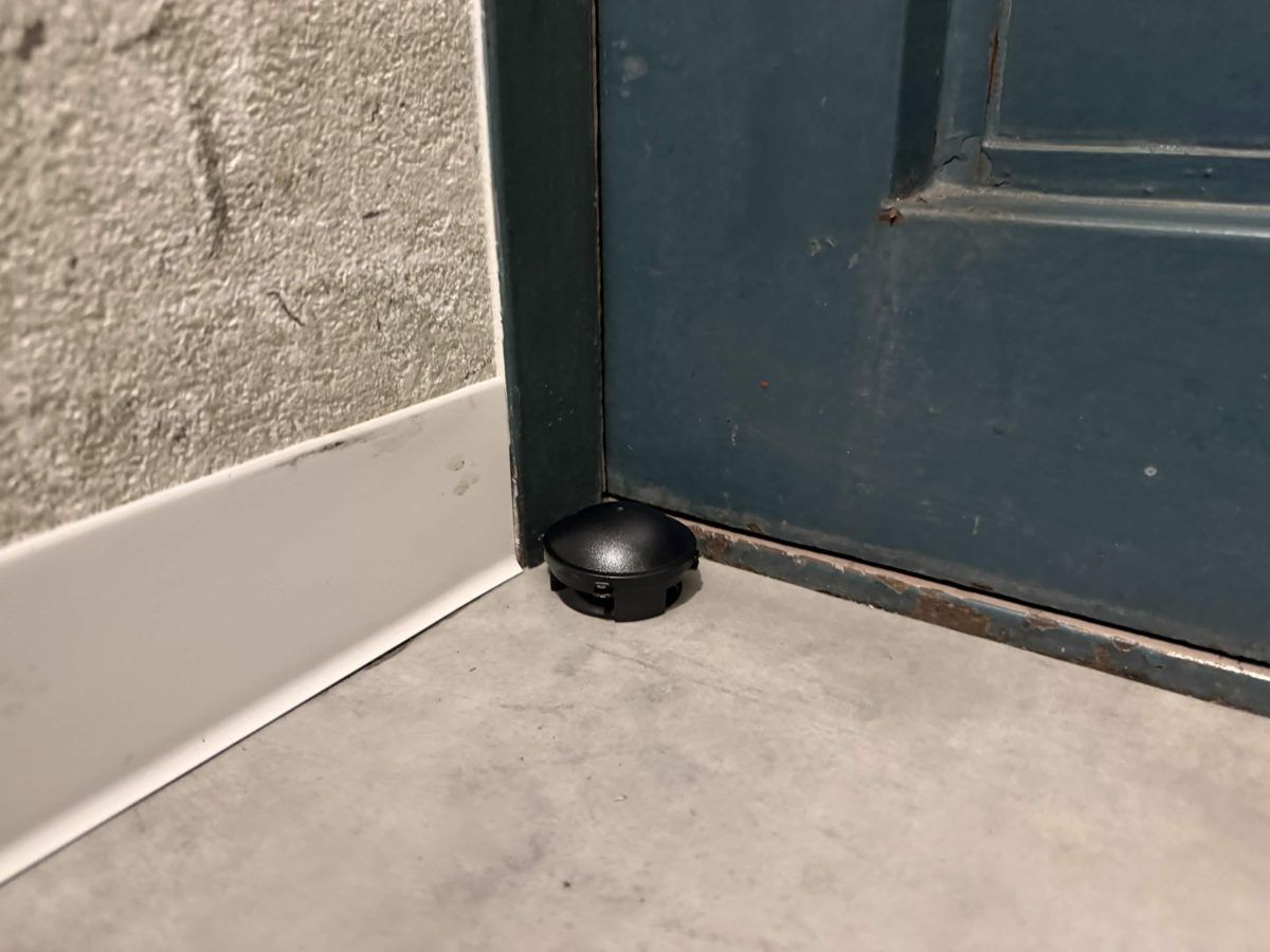 玄関の左隅に置いたブラックキャップ屋内用のアップ